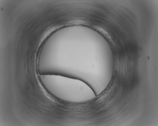 X0000063461039200601200925