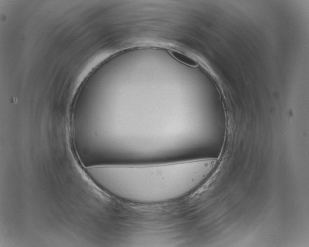 X0000063461048200601200925