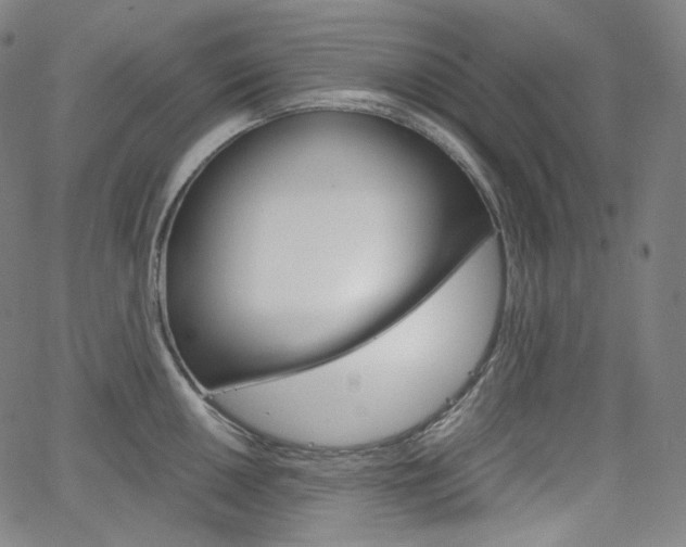 X0000063461050200601200925