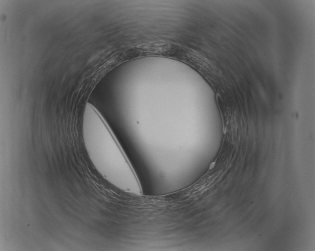 X0000063461058200601200924