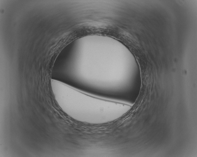 X0000063461061200601200924