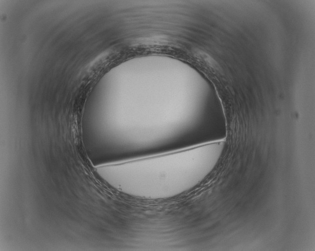 X0000063461062200601200924