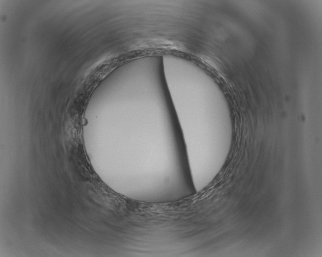 X0000063461063200601200924