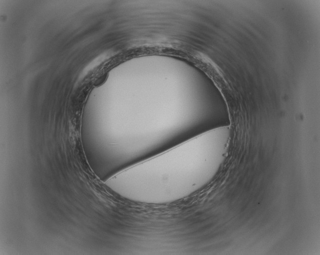 X0000063461064200601200924