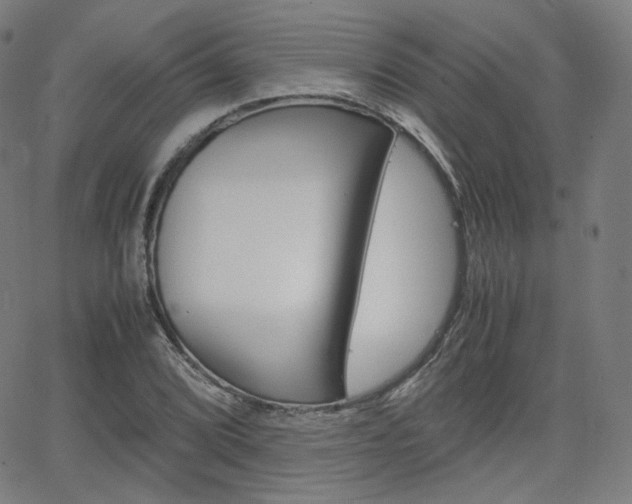 X0000063461072200601200924