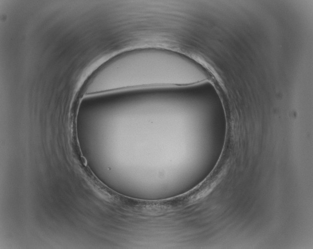 X0000063461077200601200924