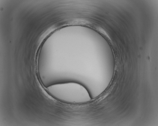 X0000063461087200601200924