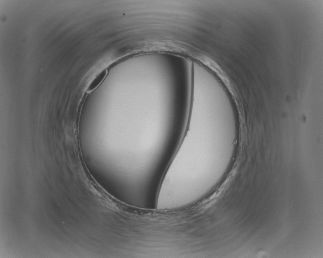 X0000063461089200601200924