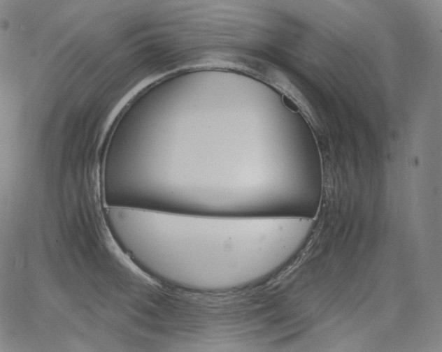 X0000063461092200601200924