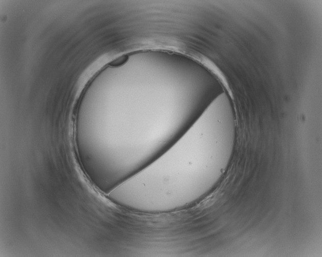 X0000063461096200601200924