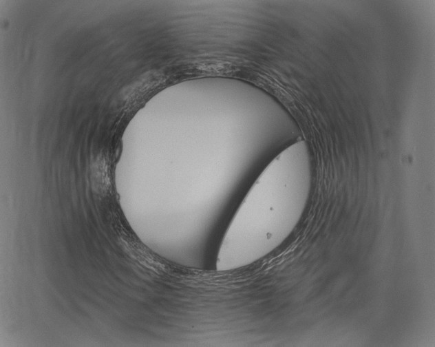 X0000063461106200601200923