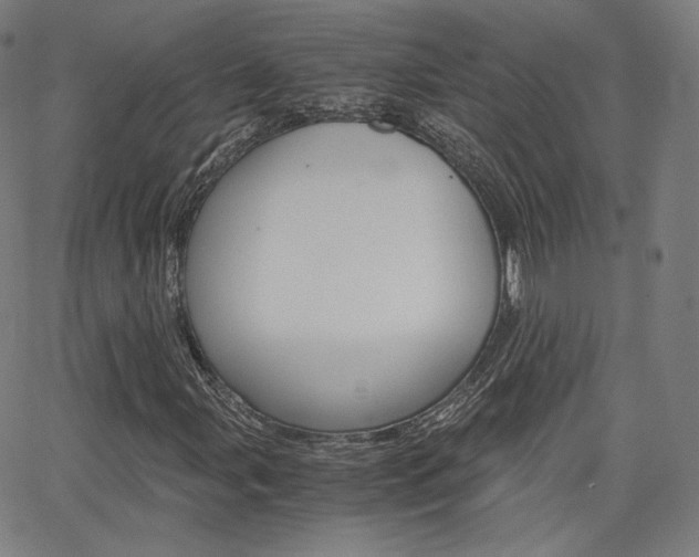 X0000063461107200601200923