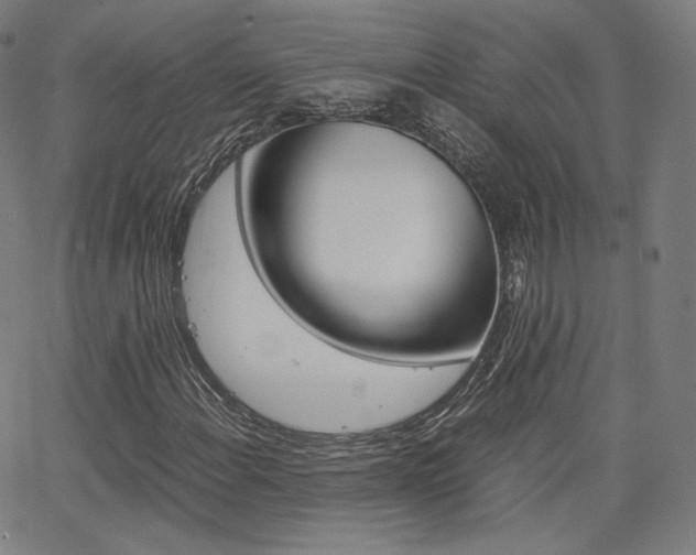 X0000063461108200601200923