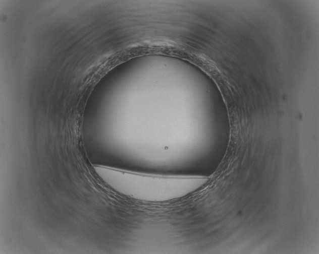 X0000063461110200601200923
