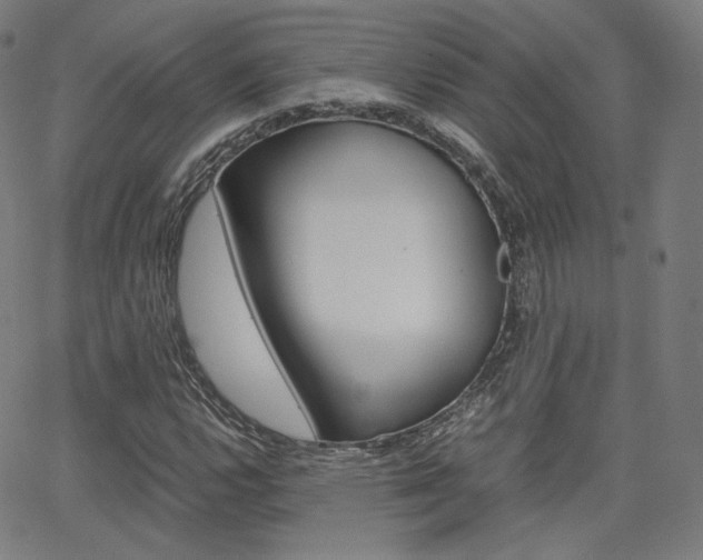 X0000063461112200601200923