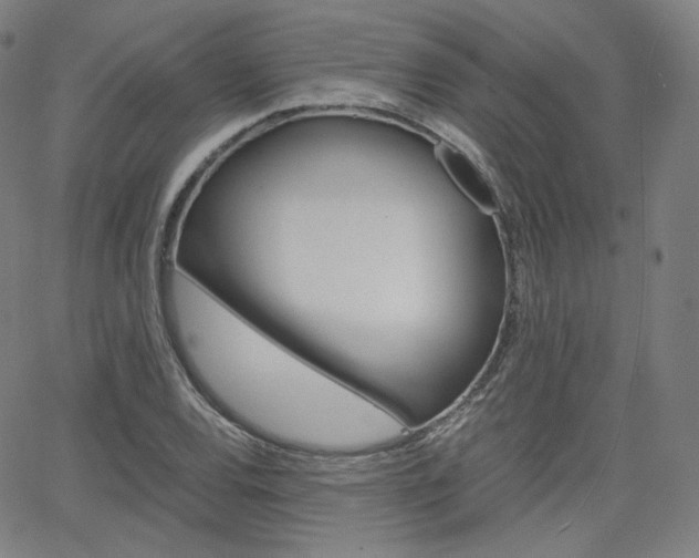 X0000063461120200601200923