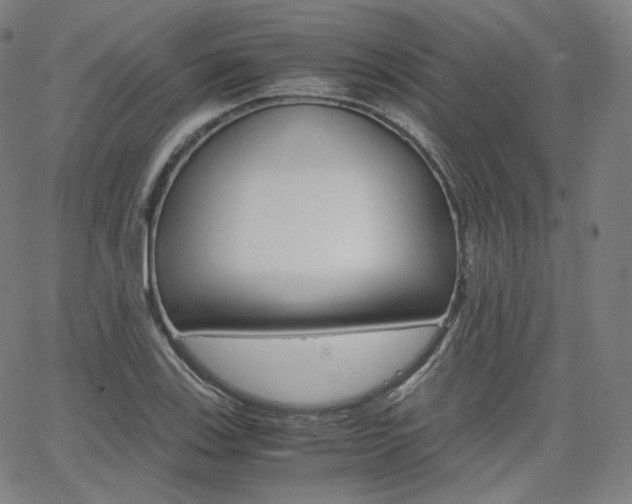 X0000063461123200601200923