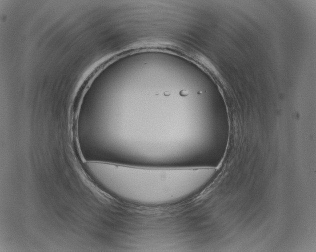 X0000063461124200601200923