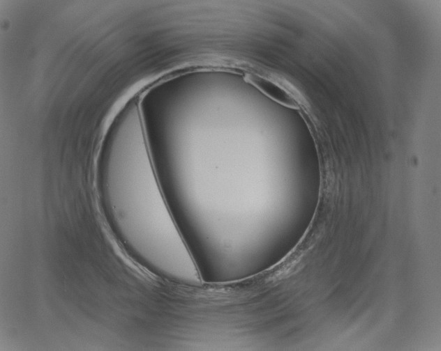 X0000063461128200601200923