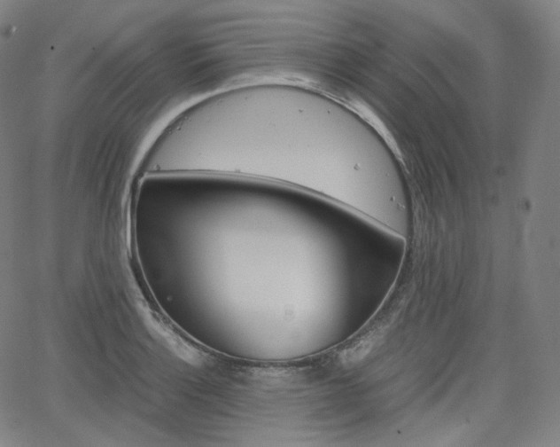 X0000063461132200601200923