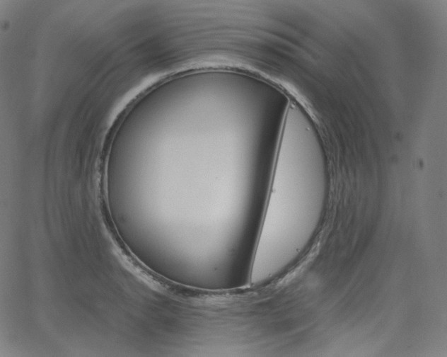 X0000063461134200601200923