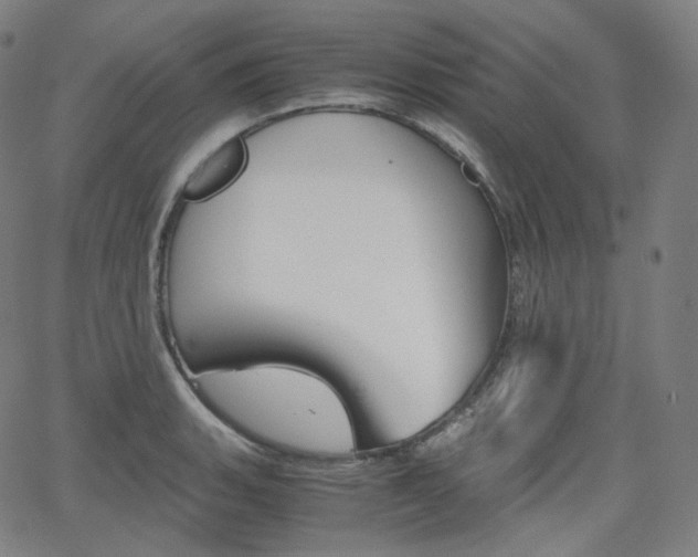 X0000063461135200601200923