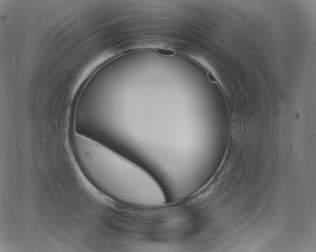 X0000063461139200601200923