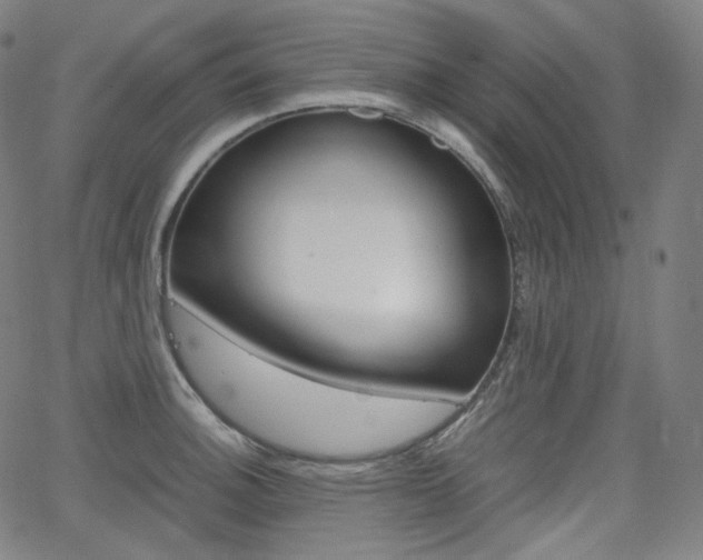 X0000063461140200601200923