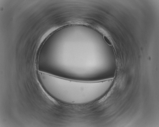 X0000063461141200601200923