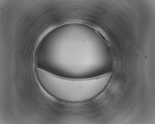 X0000063461143200601200923