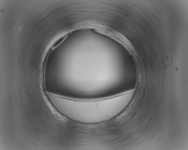 X0000063461144200601200924