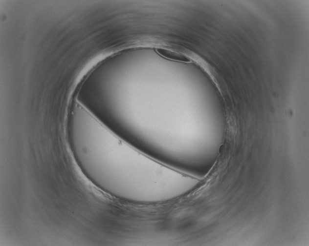 X0000063461147200601200924