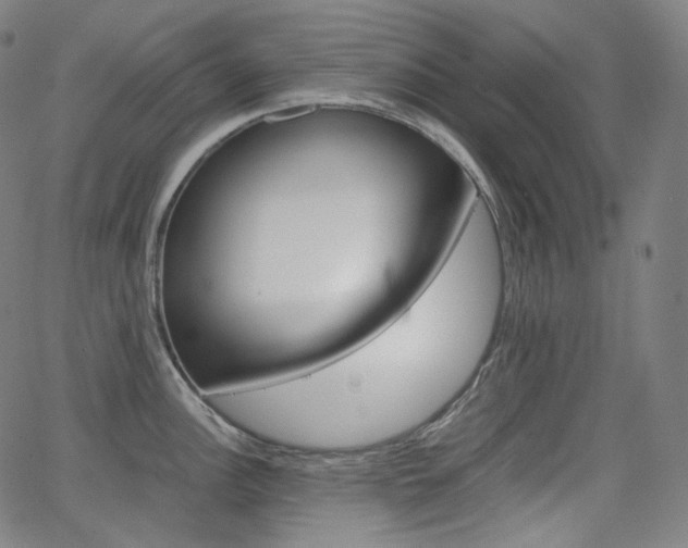 X0000063461148200601200924