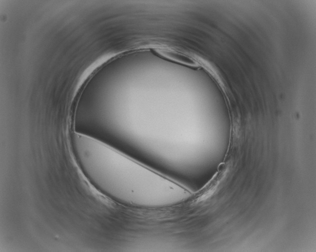 X0000063461149200601200924