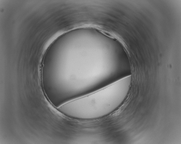 X0000063461151200601200924