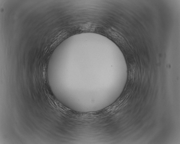 X0000063461154200601200923