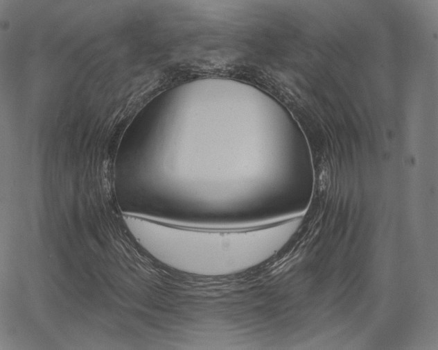 X0000063461156200601200923