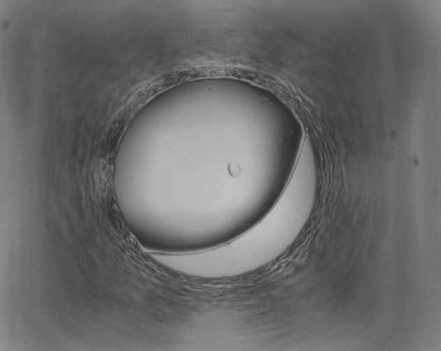 X0000063461157200601200923