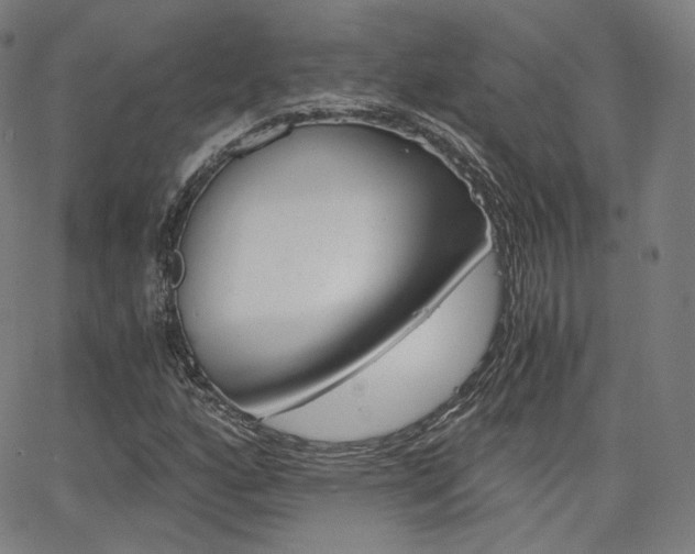 X0000063461160200601200923