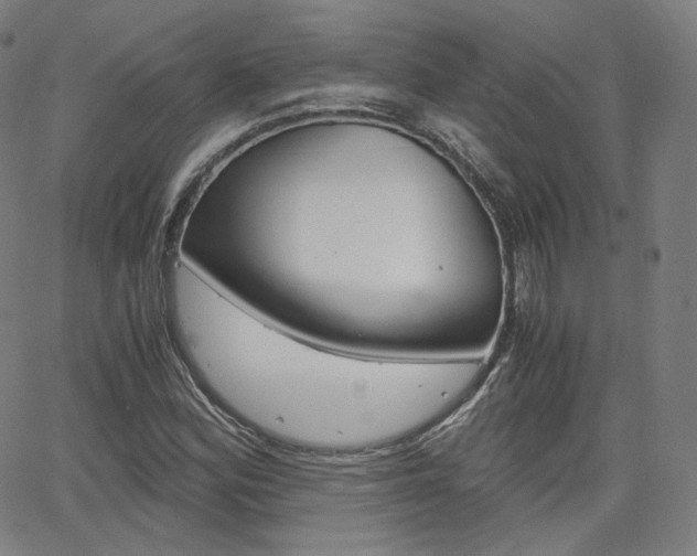 X0000063461164200601200923