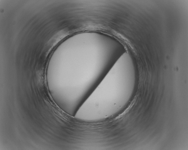 X0000063461170200601200923