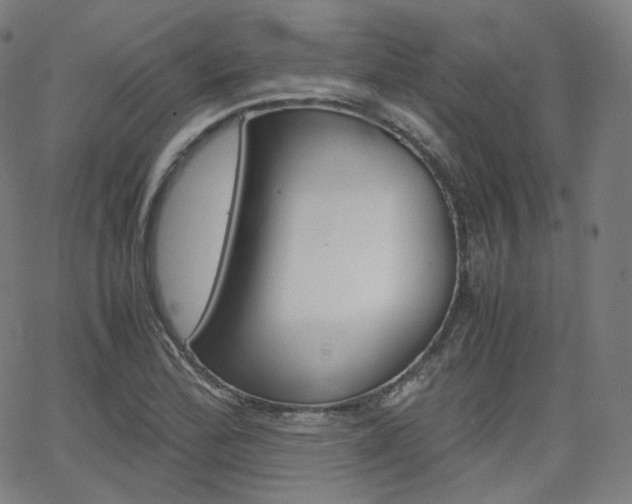 X0000063461172200601200923