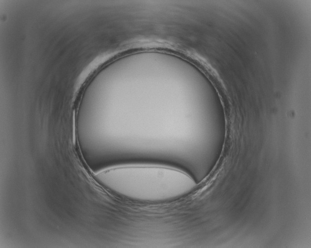 X0000063461175200601200922