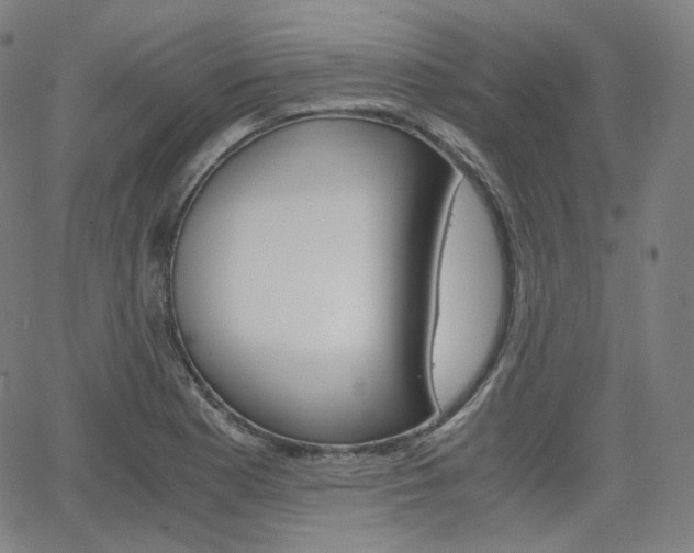 X0000063461177200601200922