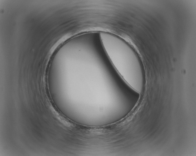 X0000063461181200601200922
