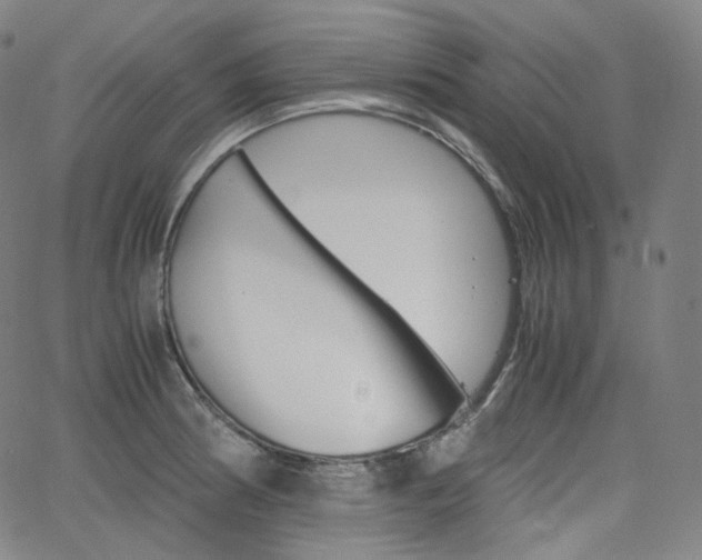 X0000063461186200601200922