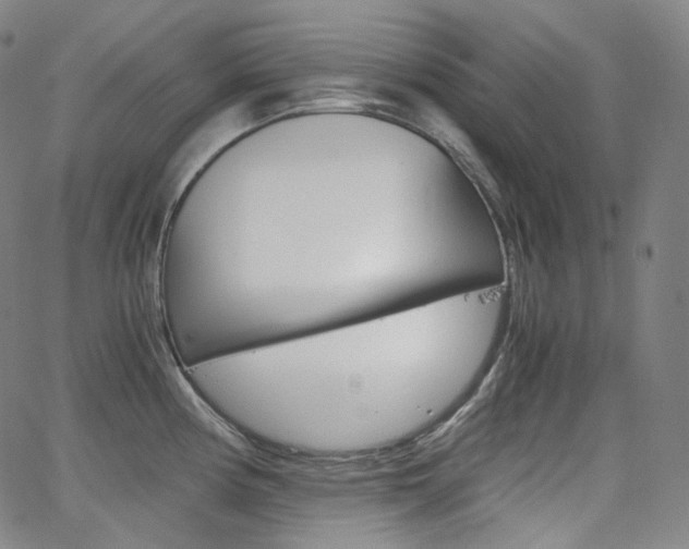 X0000063461194200601200922
