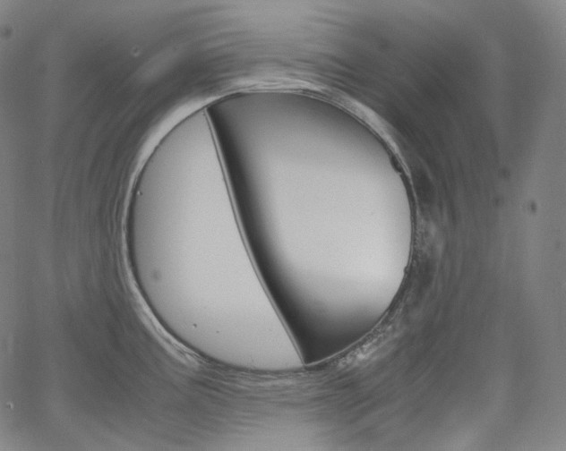 X0000063461195200601200922