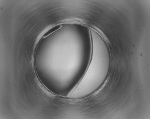 X0000063461196200601200922