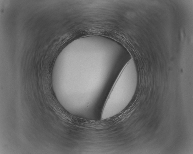 X0000063461201200601200921